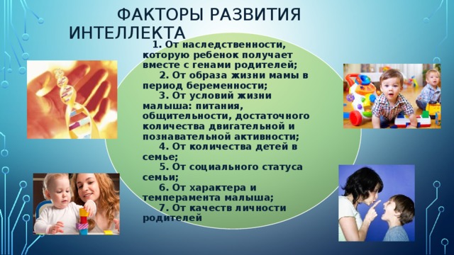  Факторы развития интеллекта  1. От наследственности, которую ребенок получает вместе с генами родителей;        2. От образа жизни мамы в период беременности;        3. От условий жизни малыша: питания, общительности, достаточного количества двигательной и познавательной активности;       4. От количества детей в семье;        5. От социального статуса семьи;        6. От характера и темперамента малыша;        7. От качеств личности родителей 