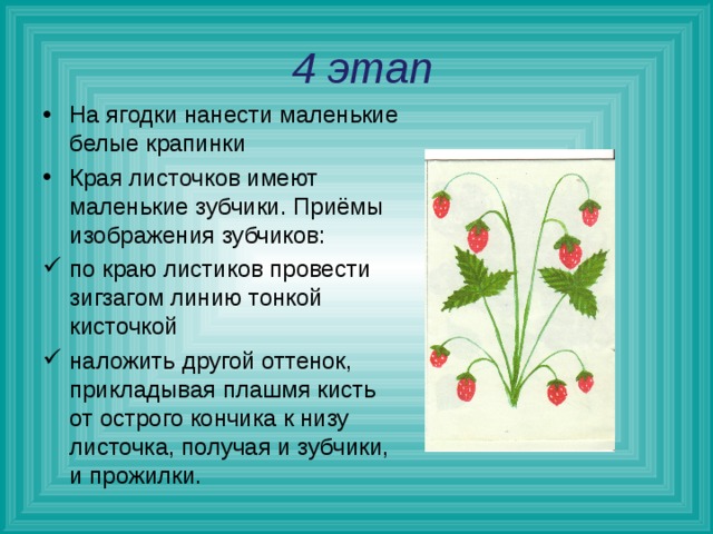  4 этап На ягодки нанести маленькие белые крапинки Края листочков имеют маленькие зубчики. Приёмы изображения зубчиков: по краю листиков провести зигзагом линию тонкой кисточкой наложить другой оттенок, прикладывая плашмя кисть от острого кончика к низу листочка, получая и зубчики, и прожилки.  