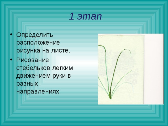  1 этап Определить расположение рисунка на листе. Рисование стебельков легким движением руки в разных направлениях  