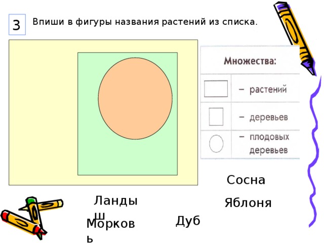 3 Впиши в фигуры названия растений из списка. Сосна Ландыш Яблоня Дуб Морковь 