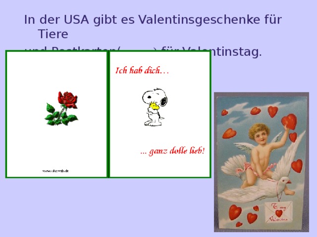 In der USA gibt es Valentinsgeschenke für Tiere und Postkarten( марки) für Valentinstag. 