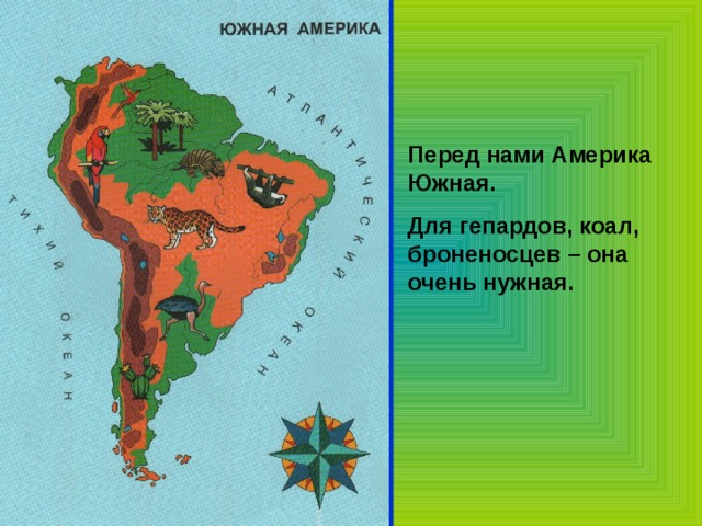 Перед нами Америка Южная. Для гепардов, коал, броненосцев – она очень нужная. 