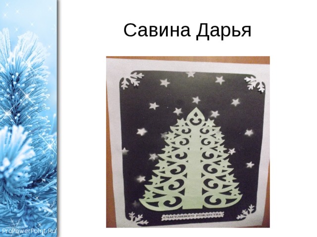 Савина Дарья 