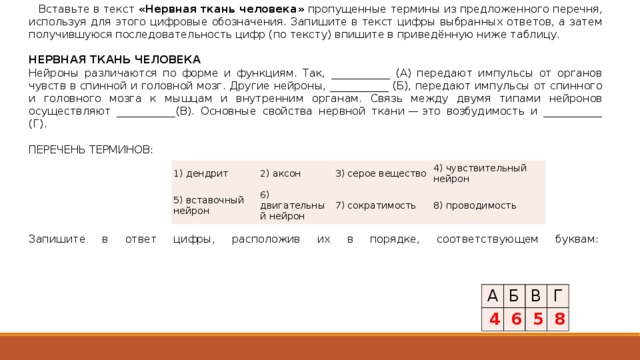 Вставьте в текст «Нервная ткань человека» пропущенные термины из предложенного перечня, используя для этого цифровые обозначения. Запишите в текст цифры выбранных ответов, а затем получившуюся последовательность цифр (по тексту) впишите в приведённую ниже таблицу.   НЕРВНАЯ ТКАНЬ ЧЕЛОВЕКА Нейроны различаются по форме и функциям. Так, ___________ (А) передают импульсы от органов чувств в спинной и головной мозг. Другие нейроны, ___________ (Б), передают импульсы от спинного и головного мозга к мышцам и внутренним органам. Связь между двумя типами нейронов осуществляют ___________(В). Основные свойства нервной ткани — это возбудимость и ___________ (Г).   ПЕРЕЧЕНЬ ТЕРМИНОВ:   Запишите в ответ цифры, рас­по­ло­жив их в порядке, со­от­вет­ству­ю­щем буквам:       1) дендрит 2) аксон 5) вставочный нейрон 3) серое вещество 6) двигательный нейрон 4) чувствительный нейрон 7) сократимость 8) проводимость А   4 Б В   6 Г   5   8