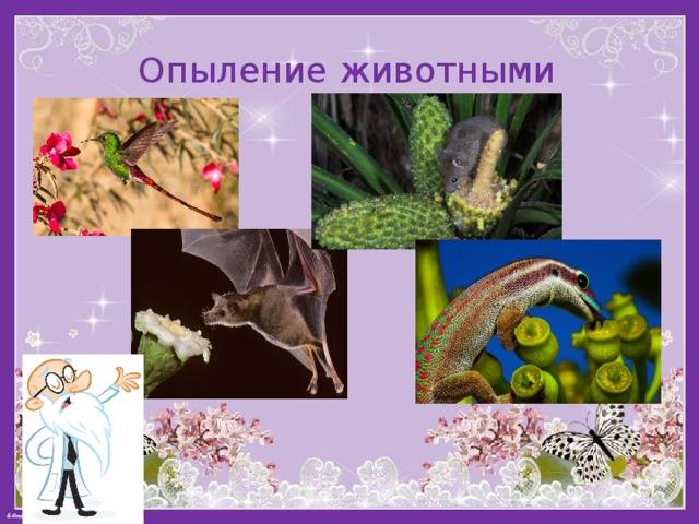 Опыление животными 
