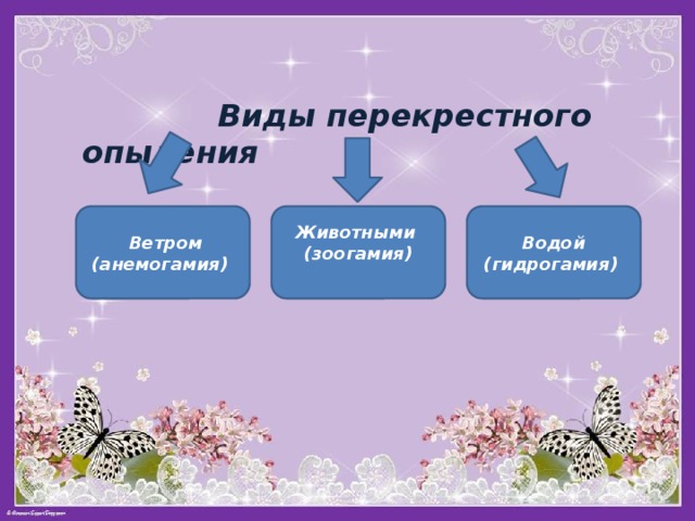  Виды перекрестного опыления  Ветром Животными (зоогамия) Водой (анемогамия) (гидрогамия) 
