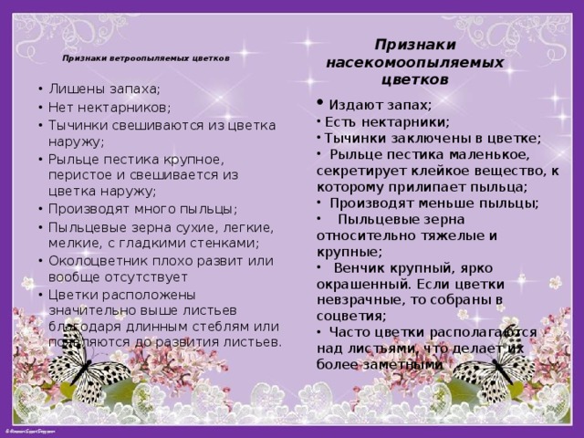 Признаки насекомоопыляемых цветков Признаки ветроопыляемых цветков   Лишены запаха; Нет нектарников; Тычинки свешиваются из цветка наружу; Рыльце пестика крупное, перистое и свешивается из цветка наружу; Производят много пыльцы; Пыльцевые зерна сухие, легкие, мелкие, с гладкими стенками; Околоцветник плохо развит или вообще отсутствует Цветки расположены значительно выше листьев благодаря длинным стеблям или появляются до развития листьев.  Издают запах;  Есть нектарники;  Тычинки заключены в цветке;  Рыльце пестика маленькое, секретирует клейкое вещество, к которому прилипает пыльца;  Производят меньше пыльцы;  Пыльцевые зерна относительно тяжелые и крупные;  Венчик крупный, ярко окрашенный. Если цветки невзрачные, то собраны в соцветия;  Часто цветки располагаются над листьями, что делает их более заметными 