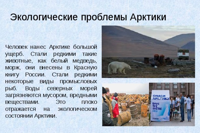 Экологические проблемы Арктики Человек нанес Арктике большой ущерб. Стали редкими такие животные, как белый медведь, морж, они внесены в Красную книгу России. Стали редкими некоторые виды промысловых рыб. Воды северных морей загрязняются мусором, вредными веществами. Это плохо отражается на экологическом состоянии Арктики. 