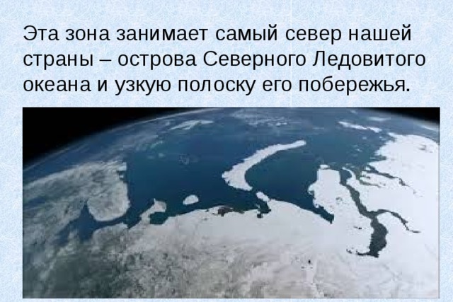 Эта зона занимает самый север нашей страны – острова Северного Ледовитого океана и узкую полоску его побережья. 