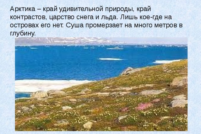Арктика – край удивительной природы, край  контрастов, царство снега и льда. Лишь кое-где на  островах его нет. Суша промерзает на много метров в  глубину. 