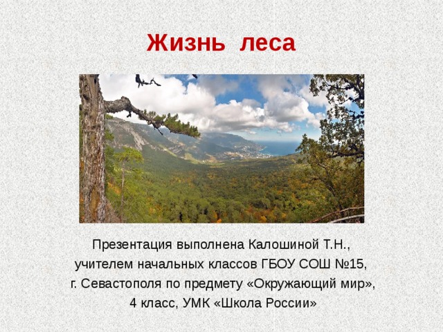 Жизнь леса Презентация выполнена Калошиной Т.Н., учителем начальных классов ГБОУ СОШ №15,  г. Севастополя по предмету «Окружающий мир»,  4 класс, УМК «Школа России» 