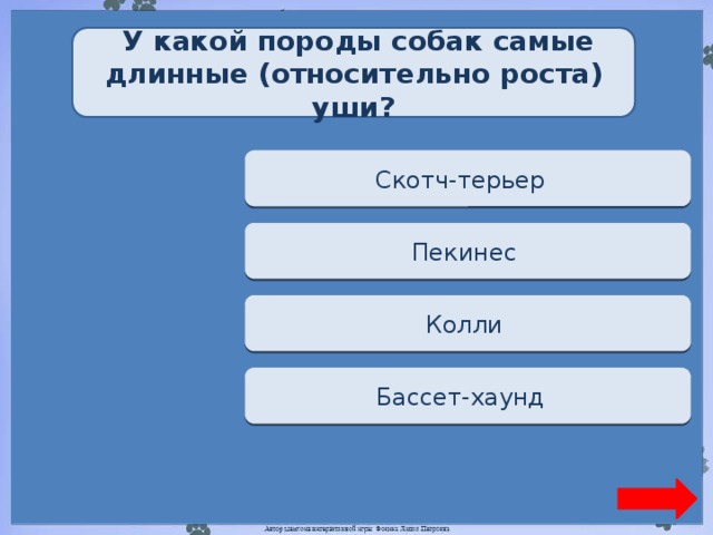 У какой породы собак самые длинные (относительно роста) уши? Переход хода Скотч-терьер  Переход хода Пекинес  Переход хода Колли  Верно + 1 Бассет-хаунд