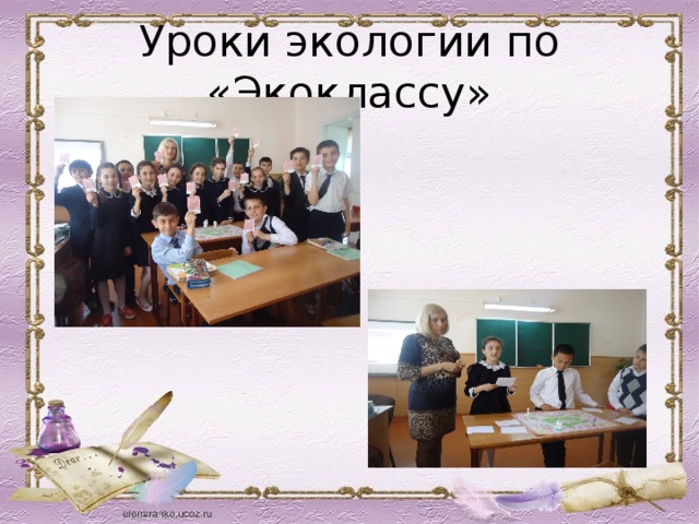 Уроки экологии по «Экоклассу» 