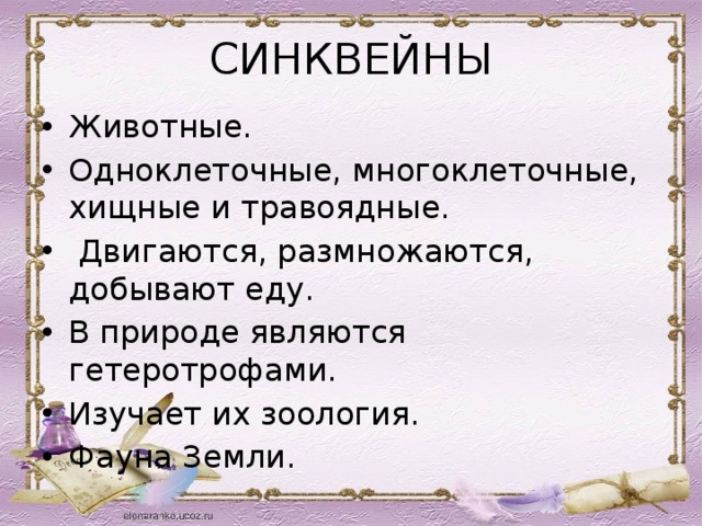 СИНКВЕЙНЫ Животные. Одноклеточные, многоклеточные, хищные и травоядные.  Двигаются, размножаются, добывают еду. В природе являются гетеротрофами. Изучает их зоология. Фауна Земли. 