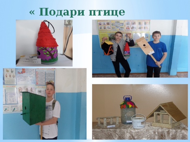  « Подари птице дом». 