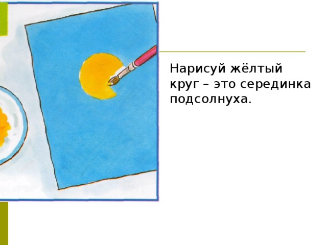 Нарисуй жёлтый круг – это серединка подсолнуха. 
