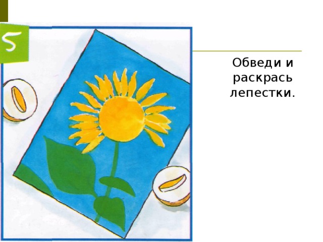 Обведи и раскрась лепестки. 