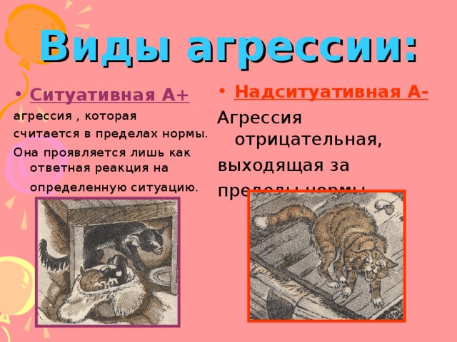 Виды агрессии: Надситуативная А- Агрессия отрицательная, выходящая за пределы нормы. Ситуативная А+  агрессия , которая считается в пределах нормы. Она проявляется лишь как ответная реакция на определенную ситуацию.  