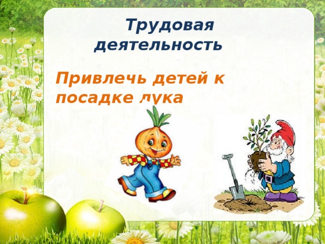  Трудовая деятельность Привлечь детей к посадке лука 