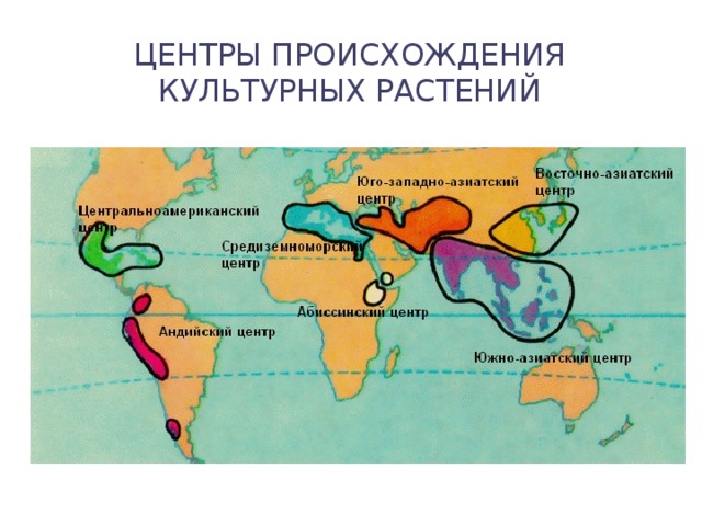 Центры происхождения культурных растений 