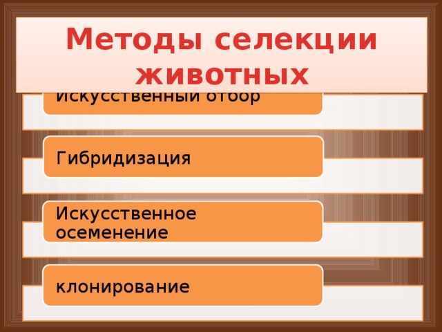 Методы селекции животных Искусственный отбор Гибридизация Искусственное осеменение клонирование 