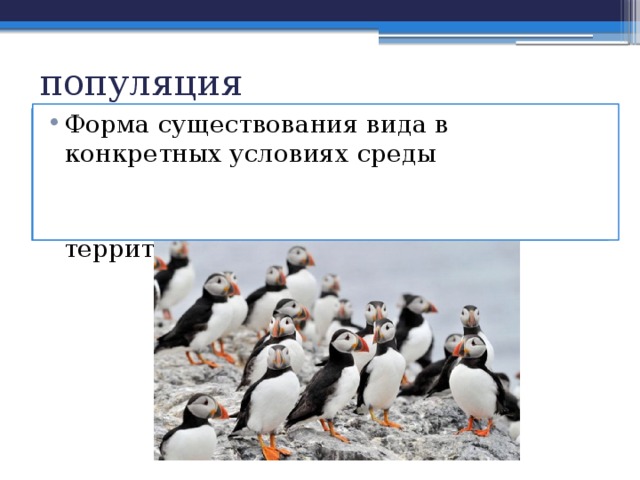 популяция Форма существования вида в конкретных условиях среды Группа особей одного вида, существующая некоторое продолжительное время на однородной. относительно изолированной территории 