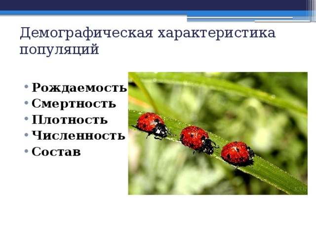 Демографическая характеристика популяций Рождаемость Смертность Плотность Численность Состав 