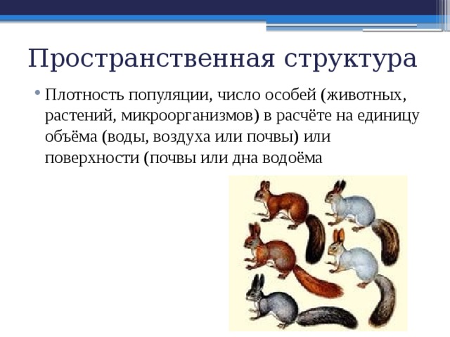 Пространственная структура Плотность популяции, число особей (животных, растений, микроорганизмов) в расчёте на единицу объёма (воды, воздуха или почвы) или поверхности (почвы или дна водоёма 