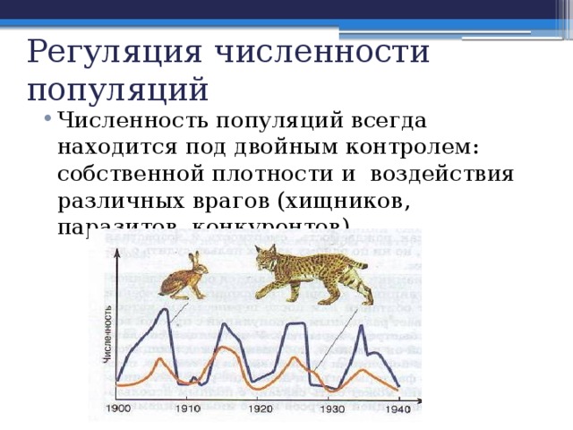 Регуляция численности популяций Численность популяций всегда находится под двойным контролем: собственной плотности и воздействия различных врагов (хищников, паразитов, конкурентов) 