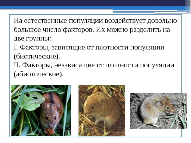 На естественные популяции воздействует довольно большое число факторов. Их можно разделить на две группы:  I. Факторы, зависящие от плотности популяции (биотические).  II. Факторы, независящие от плотности популяции (абиотические). 