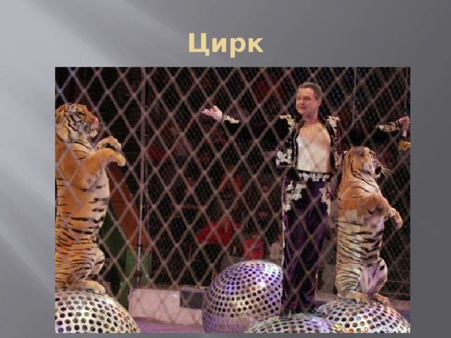 Цирк 