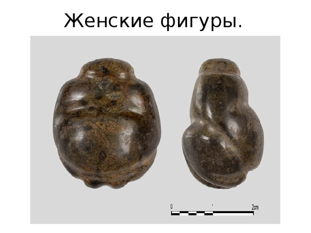 Женские фигуры. 