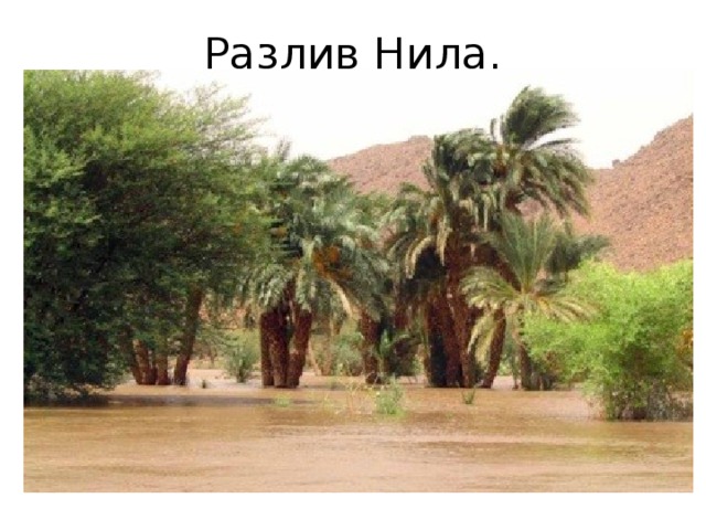 Разлив Нила. 