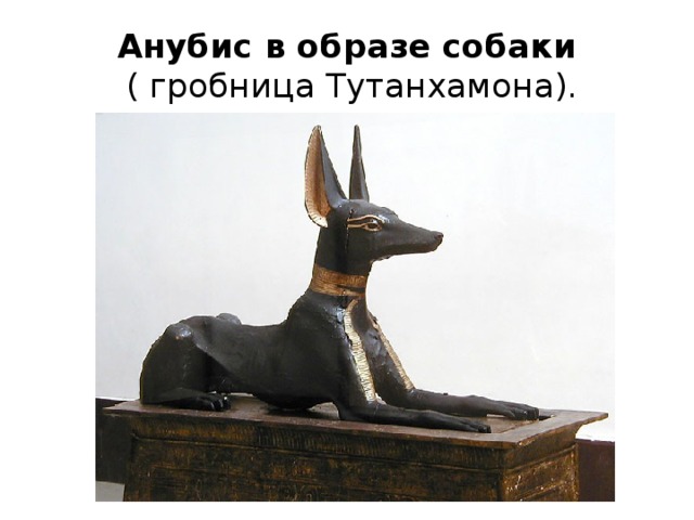 Анубис в образе собаки  ( гробница Тутанхамона). 