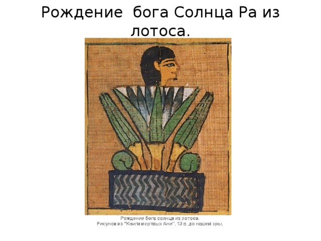 Рождение бога Солнца Ра из лотоса. 