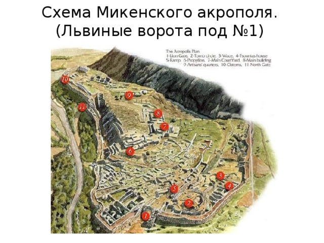 Схема Микенского акрополя. (Львиные ворота под №1) 
