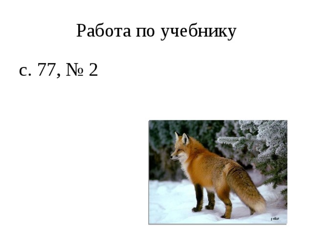 Работа по учебнику с. 77, № 2 