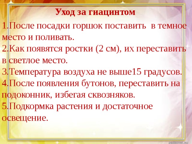 Уход за гиацинтом   1.После посадки горшок поставить в темное место и поливать. 2.Как появятся ростки (2 см), их переставить в светлое место. 3.Температура воздуха не выше15 градусов. 4.После появления бутонов, переставить на подоконник, избегая сквозняков. 5.Подкормка растения и достаточное освещение. 