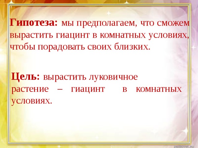 Гипотеза: мы предполагаем, что сможем вырастить гиацинт в комнатных условиях, чтобы порадовать своих близких. Цель:  вырастить луковичное растение – гиацинт в комнатных условиях. 