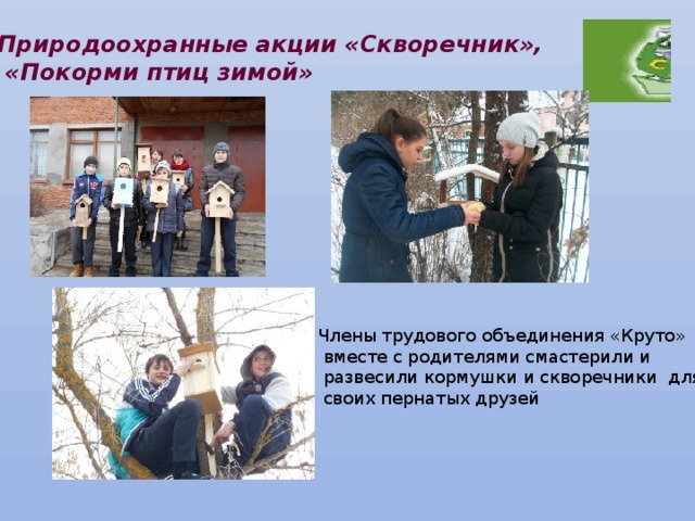 Природоохранные акции «Скворечник»,  «Покорми птиц зимой» Члены трудового объединения «Круто»  вместе с родителями смастерили и  развесили кормушки и скворечники для  своих пернатых друзей 