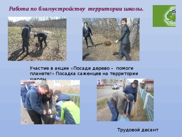 Работа по благоустройству территории школы. Участие в акции «Посади дерево – помоги планете!» Посадка саженцев на территории школы. Трудовой десант 