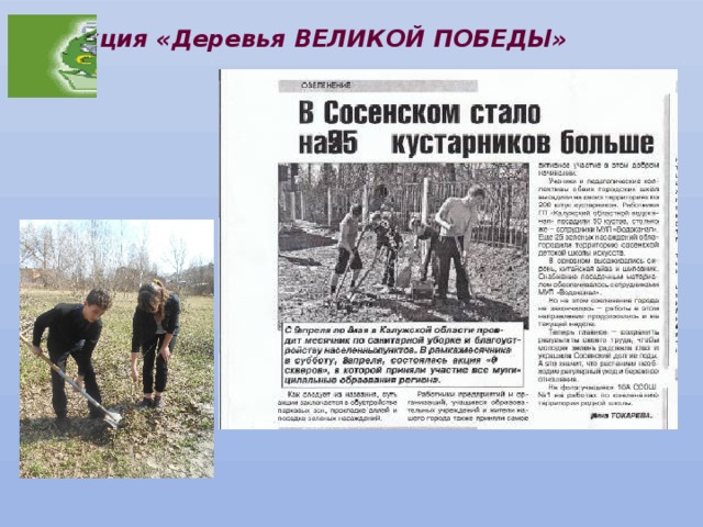 Акция «Деревья ВЕЛИКОЙ ПОБЕДЫ» 