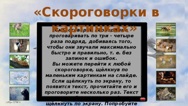  «Скороговорки в картинках»  Скороговорки необходимо проговаривать по три - четыре раза подряд, добиваясь того, чтобы они звучали максимально быстро и правильно, т. е. без запинок и ошибок. Вы можете перейти к любой скороговорке, щёлкнув по маленьким картинкам на слайде. Если щёлкнуть по экрану, то появится текст, прочитайте его и проговорите несколько раз. Текст можно убрать, если ещё раз щёлкнуть по экрану. Попробуйте повторить скороговорку, используя только изображение на экране. 