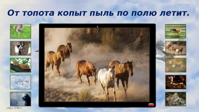 От топота копыт пыль по полю летит. 