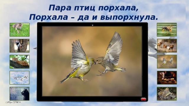 Пара птиц порхала, Порхала – да и выпорхнула. 