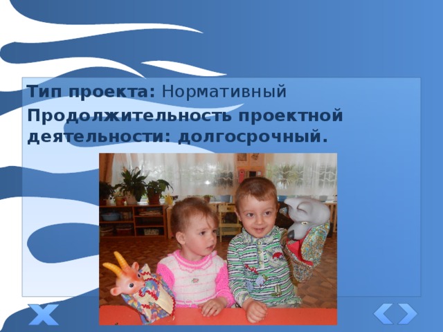 Тип проекта: Нормативный Продолжительность проектной деятельности: долгосрочный.  