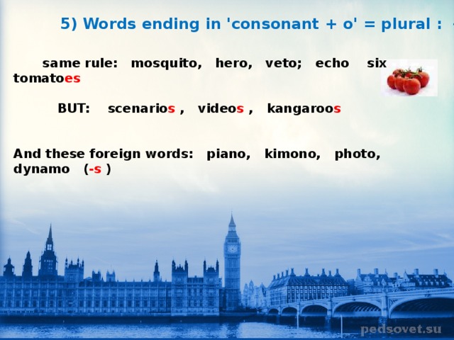 5) Words ending in 'consonant + o' = plural :  -es                same rule:   mosquito,   hero,   veto;  echo  six  tomato es                                BUT:    scenario s  ,   video s  ,   kangaroo s   And these foreign words:   piano,   kimono,   photo,   dynamo   ( -s  )     