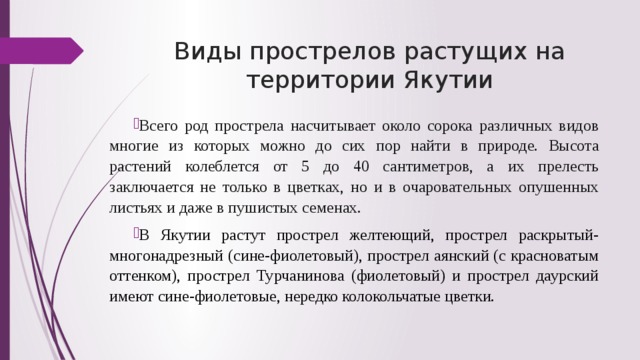 Виды прострелов растущих на территории Якутии Всего род прострела насчитывает около сорока различных видов многие из которых можно до сих пор найти в природе. Высота растений колеблется от 5 до 40 сантиметров, а их прелесть заключается не только в цветках, но и в очаровательных опушенных листьях и даже в пушистых семенах.  В Якутии растут прострел желтеющий, прострел раскрытый-многонадрезный (сине-фиолетовый), прострел аянский (с красноватым оттенком), прострел Турчанинова (фиолетовый) и прострел даурский имеют сине-фиолетовые, нередко колокольчатые цветки. 