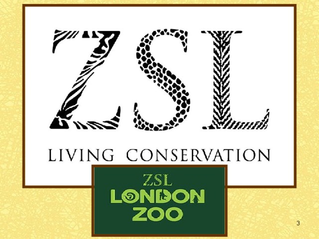 ? This town is the capital of Great Britain . LONDON ? This is a place  where  endangered animals live.  
