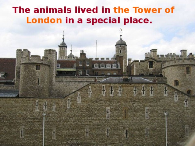  Exotic animals were first taken to Britain in the thirteenth century when King Henry III  received a gift of 3 leopards.   
